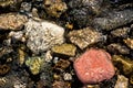 Baikal pebbles under water Royalty Free Stock Photo