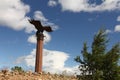 Baikal shaman eagle monument near road