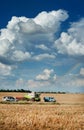 Baikivtsi, Ternopil Oblast, UKRAINE - August 10, 2020: the process of harvesting grain in the field of Viktoriya agrofirm has
