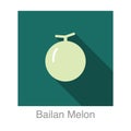 Bailan melon fruit flat icon, vector illustration Royalty Free Stock Photo