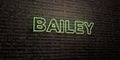 BAILEY -Realistic Neon Sign on Brick Wall background - 3D rendered royalty free stock image