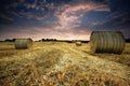 Bails of Golden Hay at Sunset