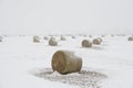 Bails of hay in blizzard Royalty Free Stock Photo