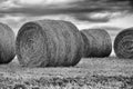 Bails of hay Royalty Free Stock Photo