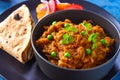 Indian meal-Baingan Bharta with roti and salad Royalty Free Stock Photo