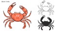 Bairdi Crabs art highly detailed in line art style