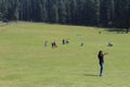 A beautiful view of the meadow in Baisaran, Kashmir, India