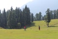 A beautiful view of the meadow in Baisaran, Kashmir, India