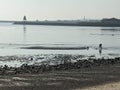 Bait digger mouth of Tyne from North Shields Royalty Free Stock Photo