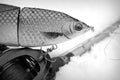 Baitcast fishing tackle and lure plug for big predatory fish Royalty Free Stock Photo