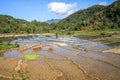 Rice paddies in the beautiful and luxurious countryside around bajawa Nusa Tenggara, flores island, Indonesia