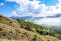 Bajawa - Volcanic island seen from above