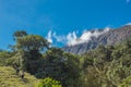 Group of young adventurers walking through the green field heading to the mountain in the middle of a sunny day and blue summer sk Royalty Free Stock Photo