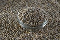 Bajra Pearl millet in glass bowl Royalty Free Stock Photo