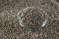 Bajra Pearl millet in glass bowl Royalty Free Stock Photo