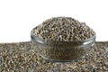 Bajra Pearl millet in glass bowl Royalty Free Stock Photo