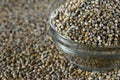 Bajra Pearl millet in glass bowl Royalty Free Stock Photo