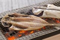 Traditional Japanese food, dried fish Royalty Free Stock Photo
