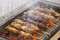 Traditional Japanese grilled chicken Royalty Free Stock Photo