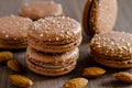 Baked almond flavored french macarons Royalty Free Stock Photo