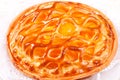 Baked apricot pie Royalty Free Stock Photo