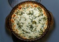 Baked Artichoke Spinach Dip Royalty Free Stock Photo