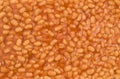 Baked beans Royalty Free Stock Photo