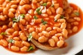 Baked beans on toast in tomato sauce on white plate Royalty Free Stock Photo