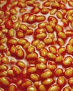 Baked beans in tomato sauce Royalty Free Stock Photo