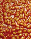 Baked beans in tomato sauce