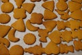 Baked brown gingerbread of different shapes on baking paper. the smell of cinnamon and ginger in the house, festive mood. homemade Royalty Free Stock Photo