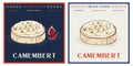 Baked Camembert with garlic and thyme vintage illustration