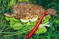 Baked carp with spices and vegetables on fire on green background