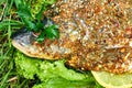 Baked carp with spices and vegetables on fire on green background