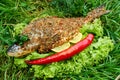 Baked carp with spices and vegetables on fire on green background