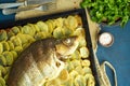 Baked carp, whole fish from the oven with sliced potatoes on a large tray. Traditional polish dish