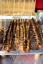 Baked Centipedes for Sale