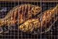 Baked on charcoal grill carp fish