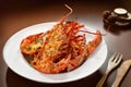 Baked cheese Lobster Langoustines Noodle Royalty Free Stock Photo