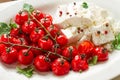 baked cherry tomatoes , with cheese, and spices, on a white plate, homemade, no people,