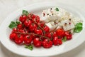 baked cherry tomatoes , with cheese, and spices, on a white plate, homemade, no people,