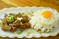 Baked chicken breast in black soy sauce and fried egg on rice Royalty Free Stock Photo