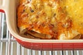 Baked Chicken Enchiladas Royalty Free Stock Photo