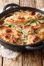 Baked chicken fillet in a creamy sauce with sun-dried tomatoes and spinach close-up in a pan. vertical Royalty Free Stock Photo