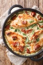Baked chicken fillet in a creamy sauce with sun-dried tomatoes and spinach close-up in a pan. Vertical top view Royalty Free Stock Photo