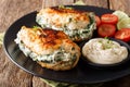 Baked Chicken fillet stuffed with cheese and spinach with sauce