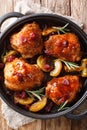 Baked chicken thighs with apples, cranberries and rosemary in a pan. Vertical top view Royalty Free Stock Photo