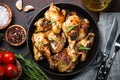 Baked chicken top view. Royalty Free Stock Photo