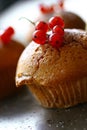 Baked chocolate muffins