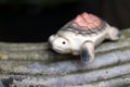 Baked clay of turtle put decorate on the edge of cement pot. Royalty Free Stock Photo